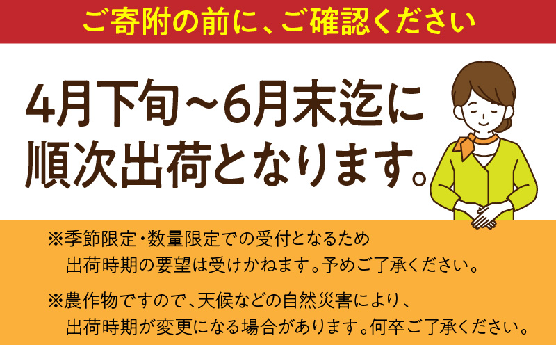 【ANA限定】【先行予約】宮崎県産 完熟マンゴー B等級 B4Lサイズ×2玉（合計約1kg）