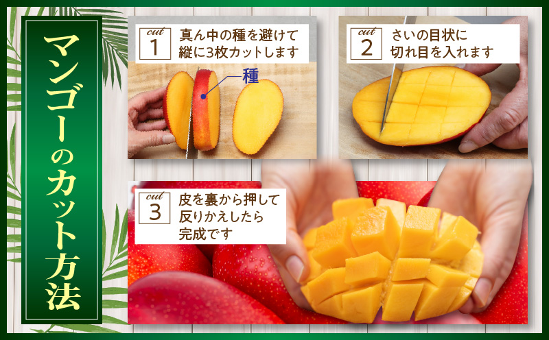 【ANA限定】【先行予約】宮崎県産 完熟マンゴー B等級 B4Lサイズ×2玉（合計約1kg）