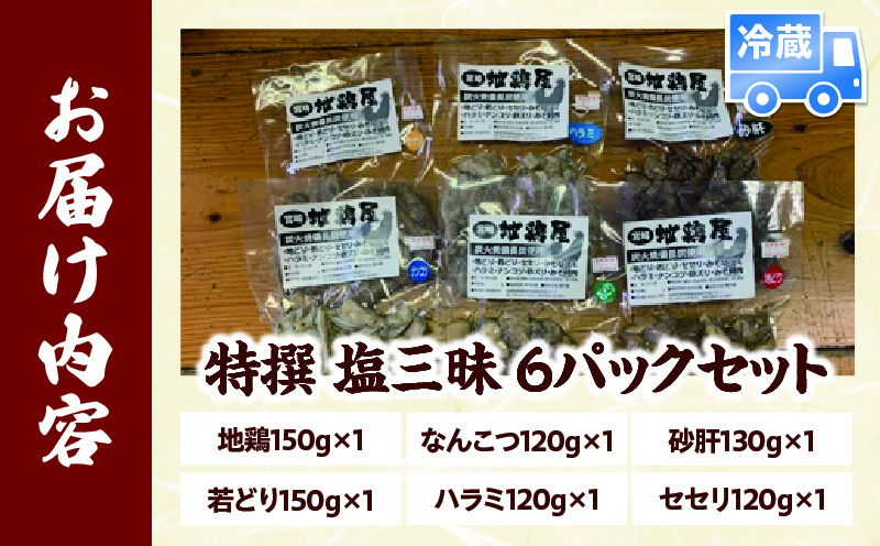 特撰 塩三昧 6パックセット