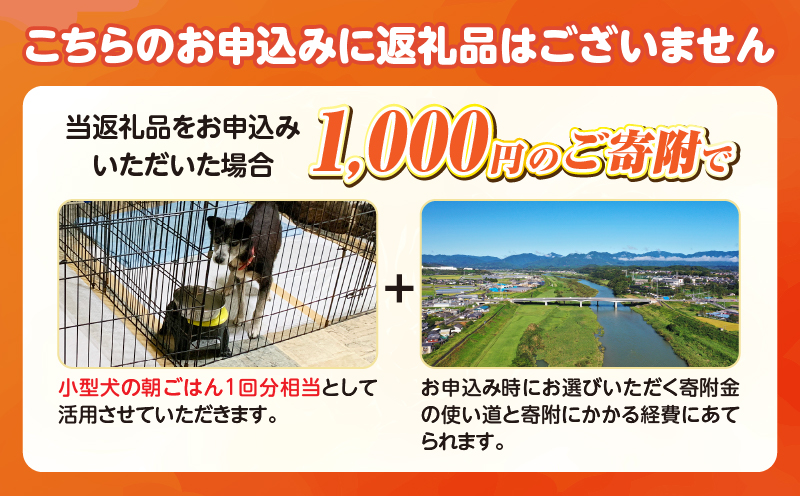 保健所犬猫レスキュー【返礼品なしのご寄附】