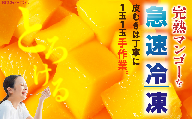 JAみやざき宮崎中央地区本部管内産 宮崎県産 冷凍マンゴー 約270g