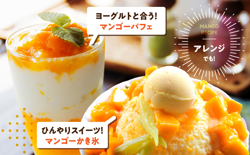 JAみやざき宮崎中央地区本部管内産 宮崎県産 冷凍マンゴー 約270g