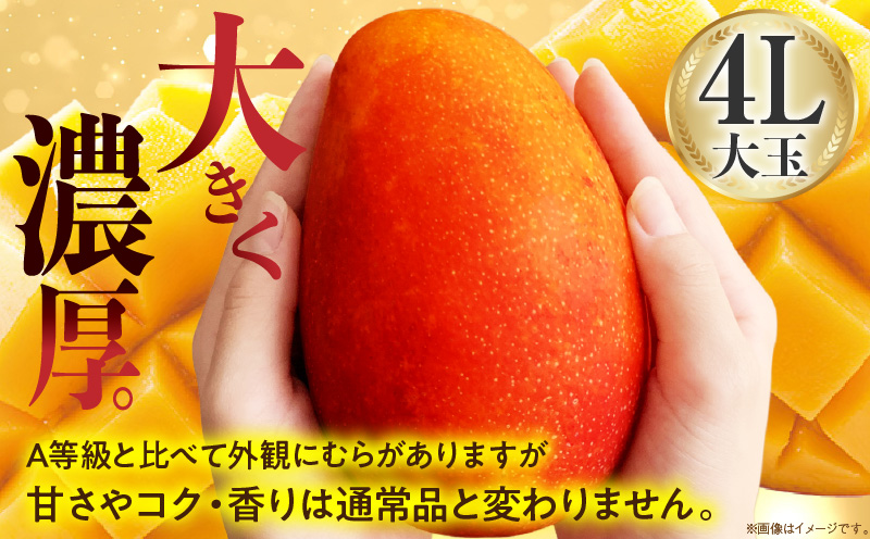 【ANA限定】【先行予約】宮崎県産 完熟マンゴー B等級 B4Lサイズ×2玉（合計約1kg）