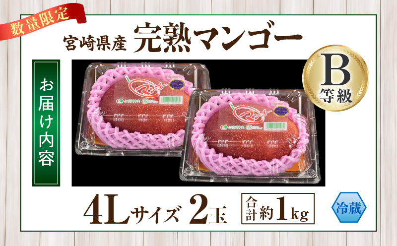 【ANA限定】【先行予約】宮崎県産 完熟マンゴー B等級 B4Lサイズ×2玉（合計約1kg）