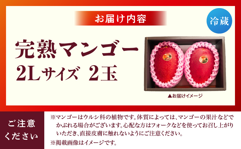 宮崎県産 完熟マンゴー 2玉 2L