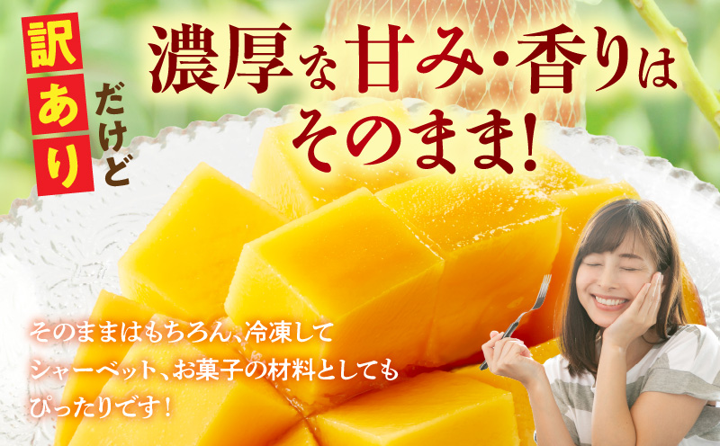 訳あり 宮崎県産 完熟マンゴー 合計約1.5kg（3～5玉）
