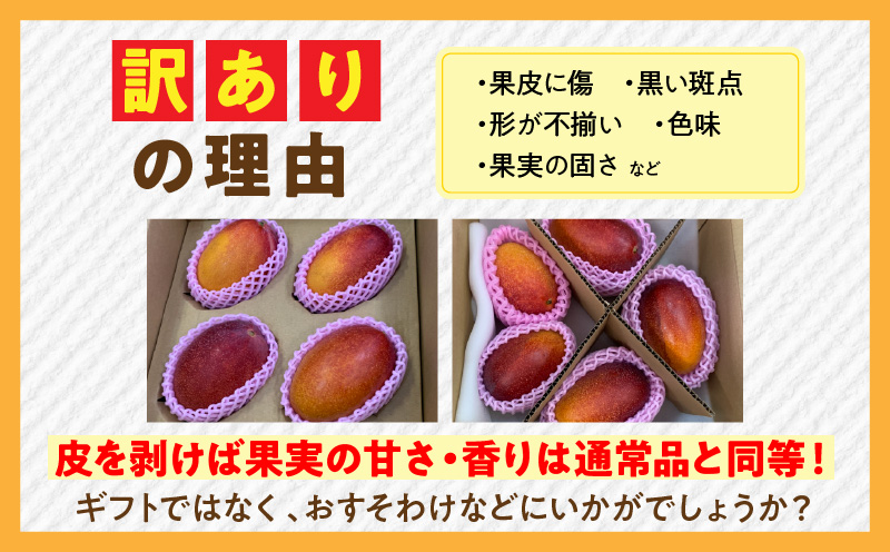 訳あり 宮崎県産 完熟マンゴー 合計約1.5kg（3～5玉）